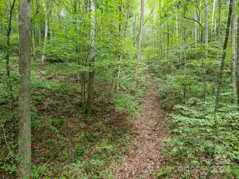 00 E Fork Rd, Sylva, NC 28779 photo 9
