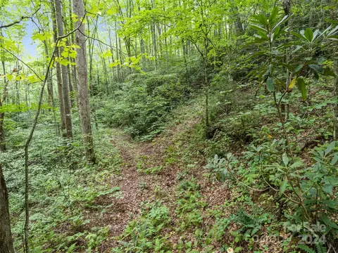 00 E Fork Rd, Sylva, NC 28779 photo 8