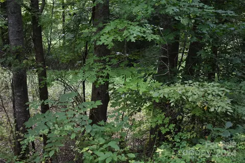 0000 Arbuckle Rd, Burnsville, NC 28714