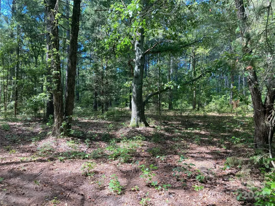  32 Sportsman Rd, Morven, NC 28119 photo 1