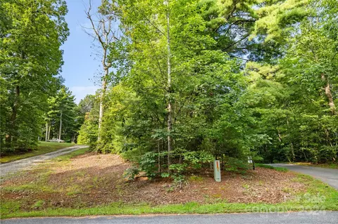 000 Thad Johnson Rd, Saluda, NC 28773 photo 5