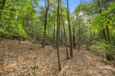 000 Thad Johnson Rd, Saluda, NC 28773 photo 17