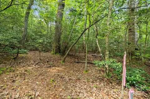 000 Thad Johnson Rd, Saluda, NC 28773 photo 16