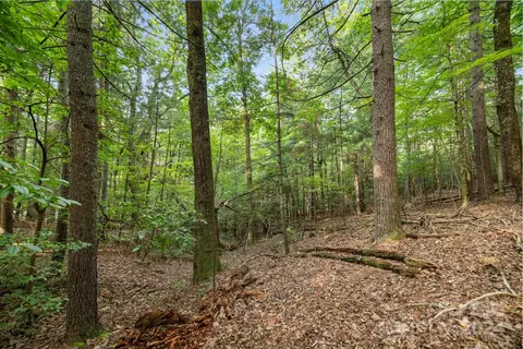 000 Thad Johnson Rd, Saluda, NC 28773 photo 13