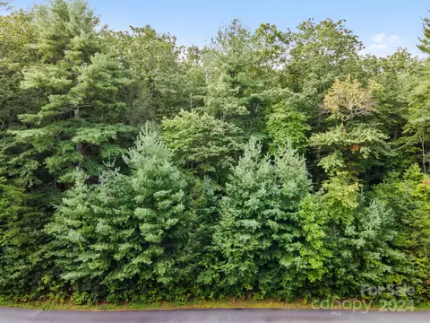 000 Thad Johnson Rd, Saluda, NC 28773 photo 3
