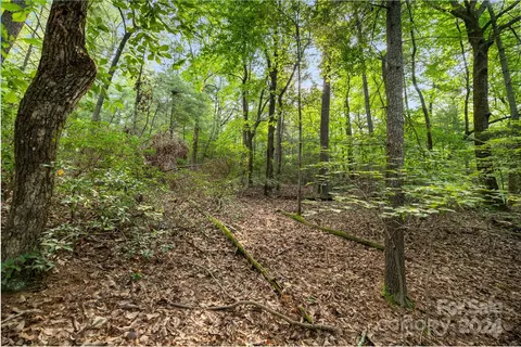 000 Thad Johnson Rd, Saluda, NC 28773 photo 12