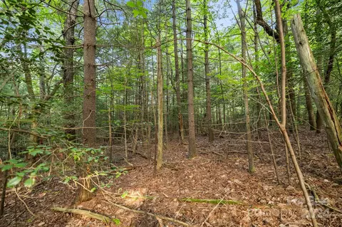 000 Thad Johnson Rd, Saluda, NC 28773 photo 10