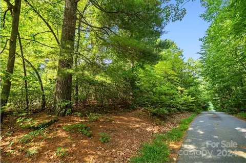 000 Thad Johnson Rd, Saluda, NC 28773 photo 21