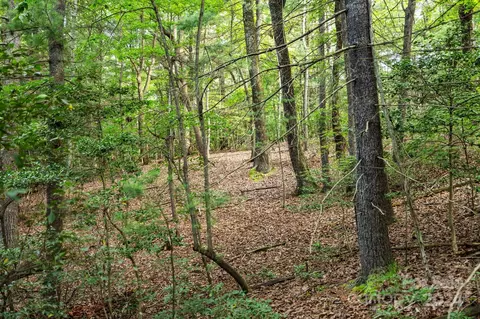 000 Thad Johnson Rd, Saluda, NC 28773 photo 14