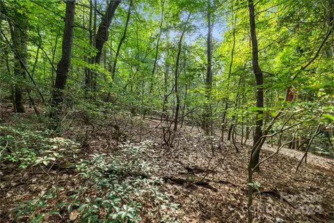 000 Thad Johnson Rd, Saluda, NC 28773 photo 9