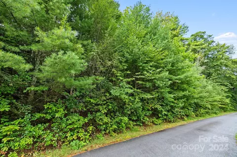 000 Thad Johnson Rd, Saluda, NC 28773 photo 19