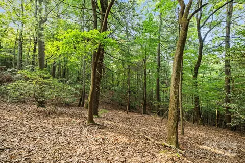 000 Thad Johnson Rd, Saluda, NC 28773 photo 11