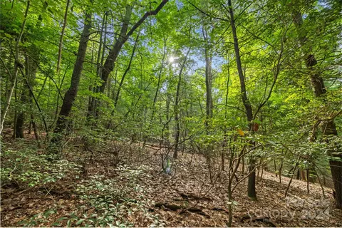 000 Thad Johnson Rd, Saluda, NC 28773 photo 18