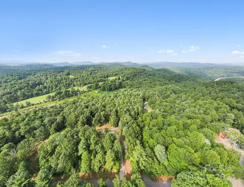 000 Thad Johnson Rd, Saluda, NC 28773 photo 7