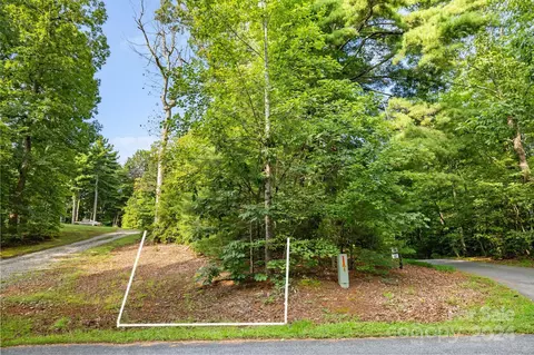 000 Thad Johnson Rd, Saluda, NC 28773 photo 4
