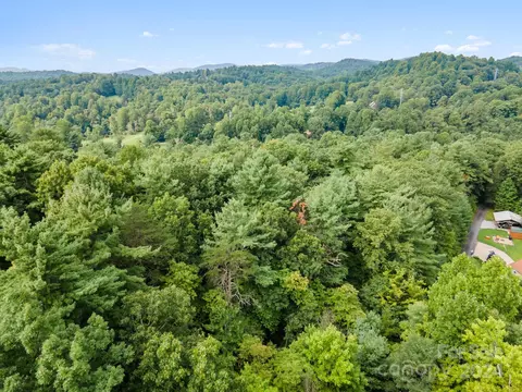 000 Thad Johnson Rd, Saluda, NC 28773 photo 22