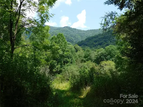 Young Cove Road, Bakersville, NC 28705