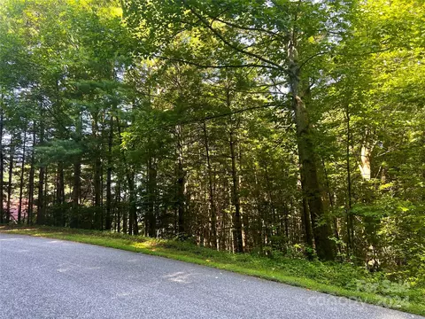 Red Fox Lane, Brevard, NC 28712