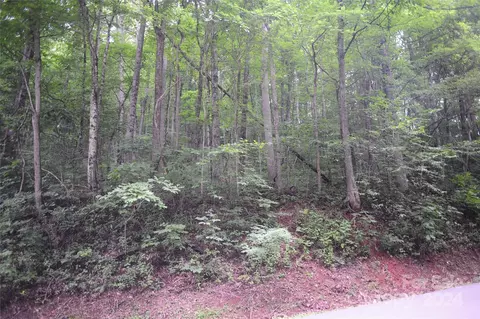 132 Ironwood Apt C17c18 Ln # C17/C18, Black Mountain, NC 28711