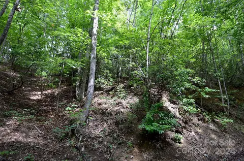 0 Jarrell Loop, Old Fort, NC 28762 photo 4