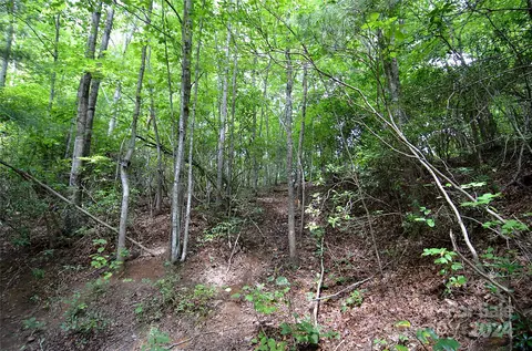 0 Jarrell Loop, Old Fort, NC 28762 photo 5