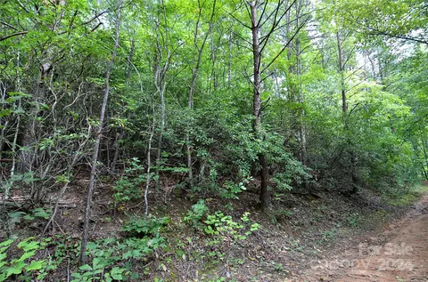 0 Jarrell Loop, Old Fort, NC 28762 photo 3