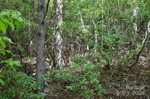 0 Jarrell Loop, Old Fort, NC 28762
