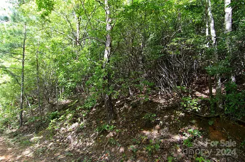 0 Jarrell Loop, Old Fort, NC 28762 photo 2