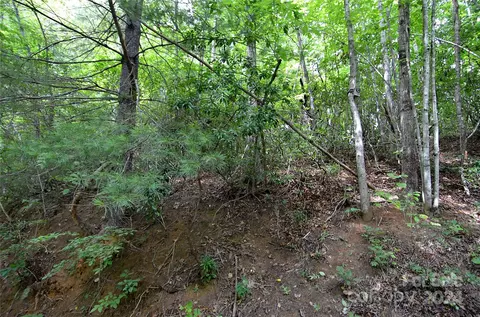0 Jarrell Loop, Old Fort, NC 28762 photo 6