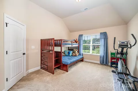 3989 Blue Dory Ln, Denver, NC 28037 photo 34