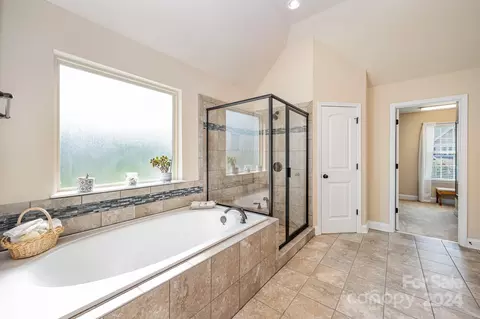 3989 Blue Dory Ln, Denver, NC 28037 photo 29