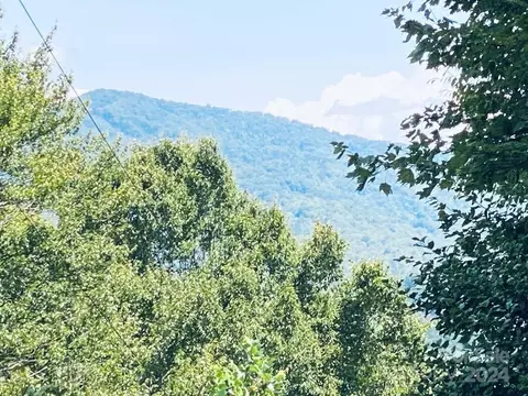 Torwood Lane, Whittier, NC 28789
