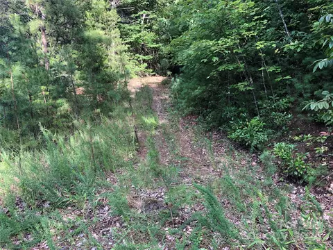 86 Buck Mountain Road #86, Purlear, NC 28665 photo 6