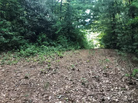 86 Buck Mountain Road #86, Purlear, NC 28665 photo 8