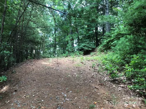 86 Buck Mountain Road #86, Purlear, NC 28665 photo 12