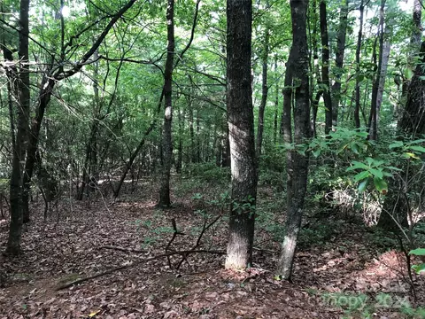 86 Buck Mountain Road #86, Purlear, NC 28665 photo 10