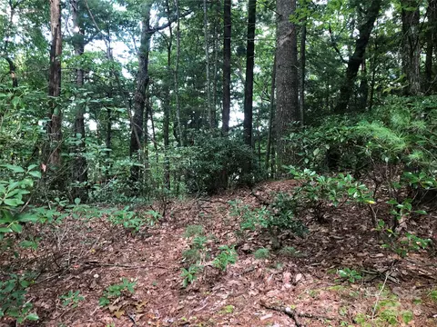 86 Buck Mountain Road #86, Purlear, NC 28665 photo 11