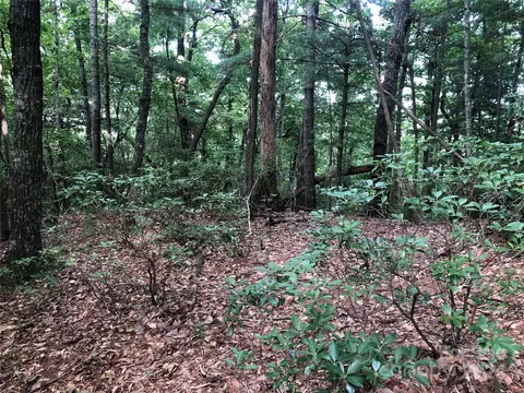 86 Buck Mountain Road #86, Purlear, NC 28665 photo 9