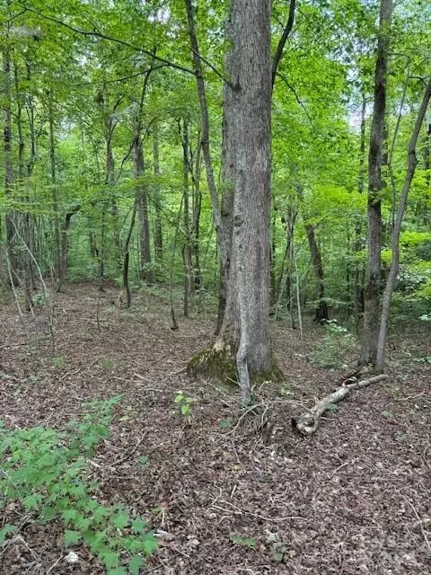 00 Timber Rd, Iron Station, NC 28080