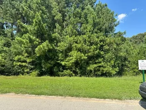 183 Chaska Loop, Troutman, NC 28166 photo 10