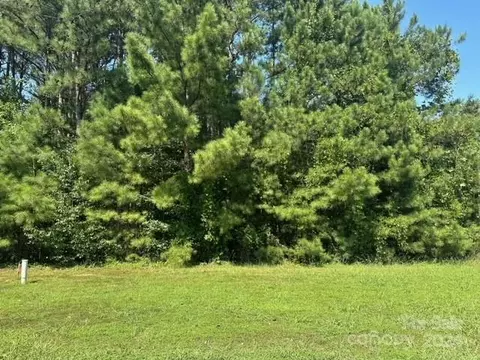 183 Chaska Loop, Troutman, NC 28166 photo 6