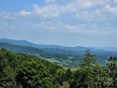 99 Trail #99-100, Leicester, NC 28748