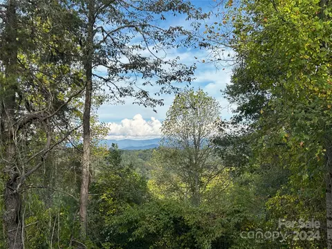 Cabin Hollow 11 Drive #11, Marshall, NC 28753