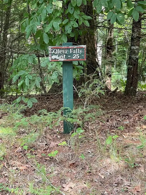 25 Oleta Road, Dana, NC 28792