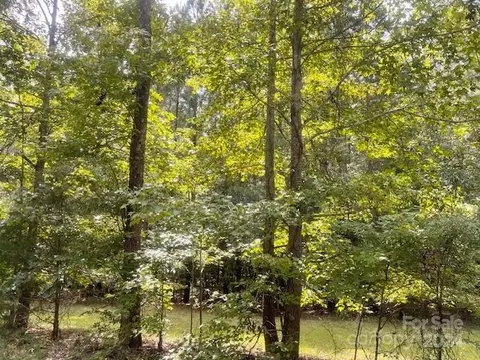 00 Capricorn Rd, Lancaster, SC 29720 photo 3