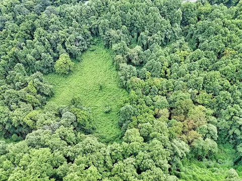 Walnut Creek Road, Marshall, NC 28753 photo 8