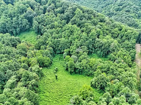Walnut Creek Road, Marshall, NC 28753 photo 4