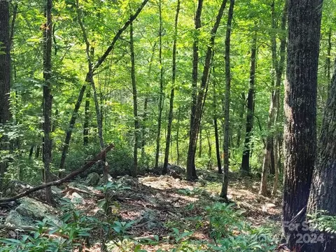 0 E Valley View Dr, Marion, NC 28752 photo 12
