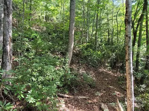 0 E Valley View Dr, Marion, NC 28752 photo 15