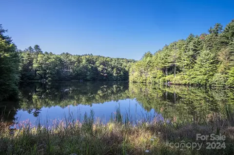 Other - 399 Oriole Rd, Brevard, NC 28712 photo 17 of 18